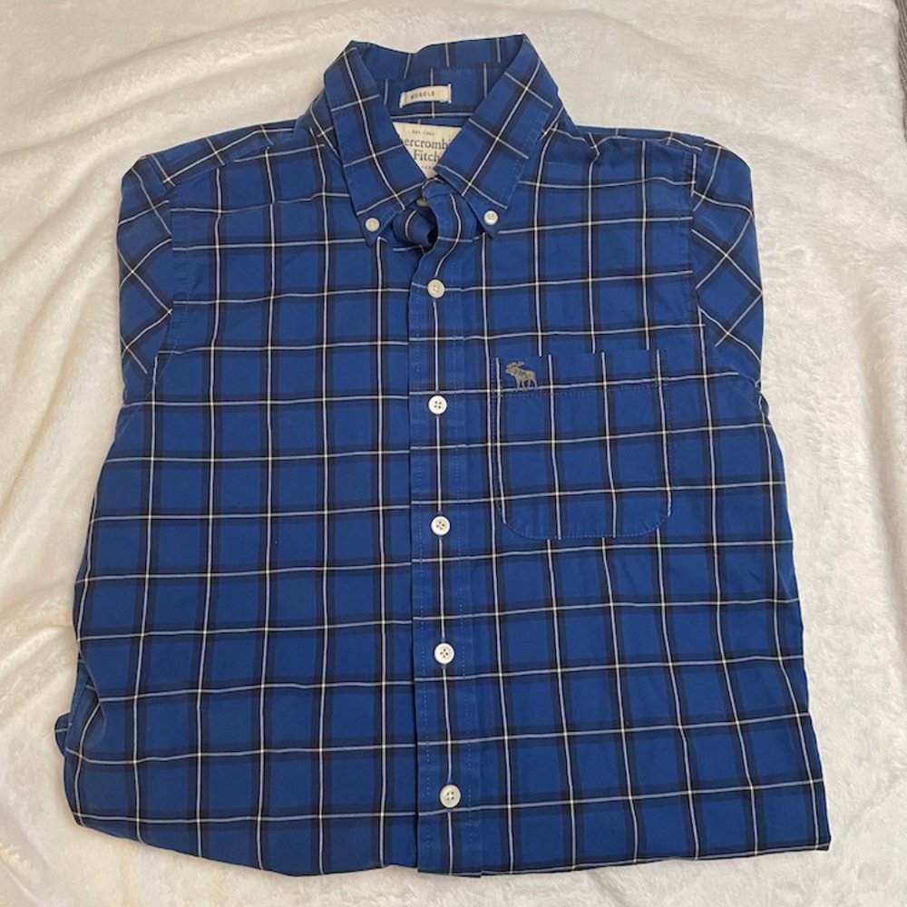 Abercrombie and Fitch Blue Windowpane Button Down